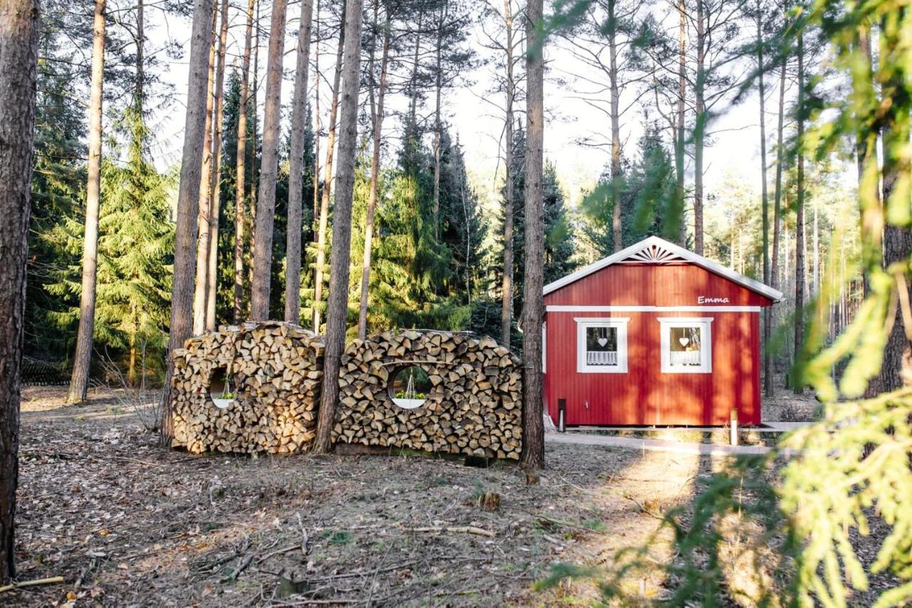 Waldhaus Emma Villa Suderburg Eksteriør billede