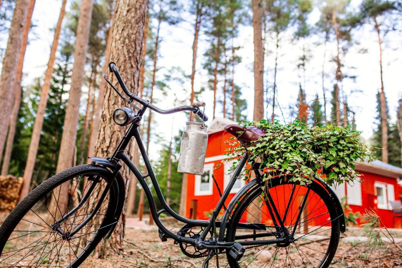 Waldhaus Emma Villa Suderburg Eksteriør billede